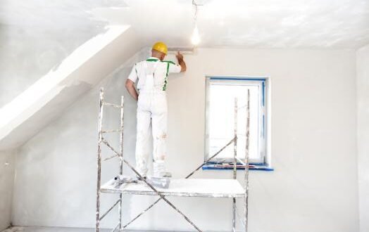 professionnel-de-platrerie